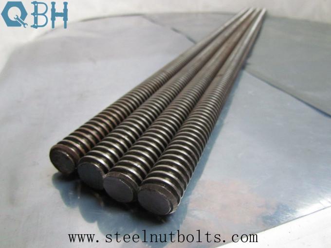 Acme Rod Carbon Steel infilato metrico di trattamento di HDG 1